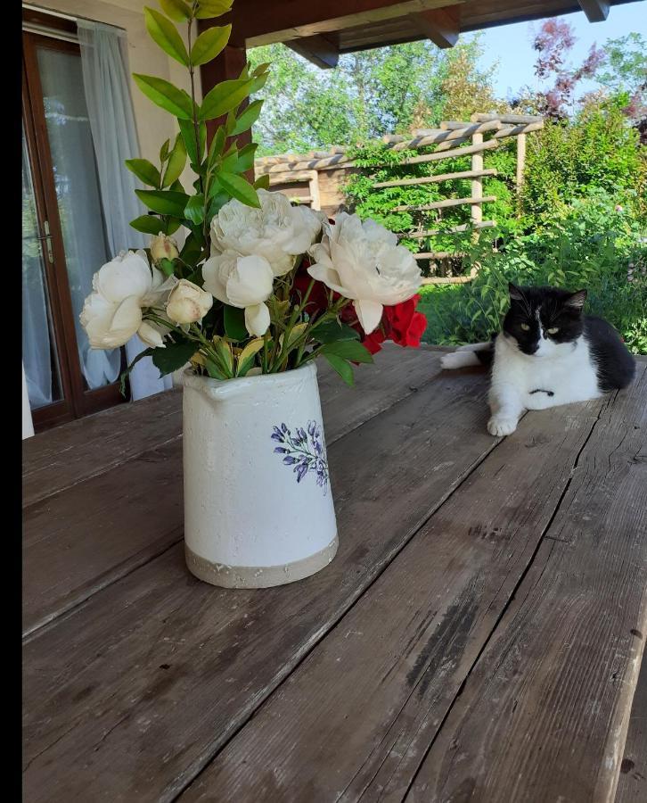 Вілла Gatti Di Langa Дольяні Екстер'єр фото